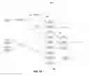 Fig. 12 - Endoscopic light source