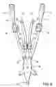 Fig. 05 - Catheter flushing assembly