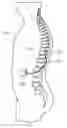 Fig. 01 - Short duration pre-pulsing to reduce stimulation-evoked  side-effects
