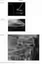 Fig. 02 - Implant of cross-linked spider silk threads