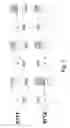 Fig. 08 - Configurable logic integrated circuit having a multidimensional structure of configurable elements