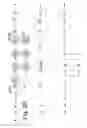 Fig. 28 - Configurable logic integrated circuit having a multidimensional structure of configurable elements