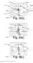 Fig. 12 - Focal-control user interface