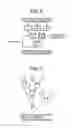 Fig. 06 - COMPILING APPARATUS, COMPILING METHOD, AND PROGRAM PRODUCT