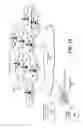 Fig. 08 - Cellular Television Broadcast System