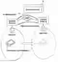 Fig. 01 - WIRELESS CONNECTION DEVICE