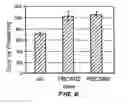 Fig. 06 - Stable, fertile, high polyhydroxyalkanoate producing plants and methods of producing them