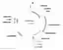 Fig. 01 - Plants having improved growth characteristics and method for making the same