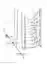 Fig. 02 - Vine crop supporting system