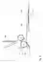 Fig. 07 - Inserting apparatus and method for inserting postal items into envelopes