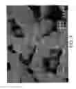Fig. 02 - TEXTURIZED PURIFICATION STRUCTURE INCORPORATING AN ELECTROCHEMICAL CATALYST SYSTEM