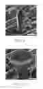 Fig. 07 - Manufacturing method for three-dimensional GaN epitaxial structure
