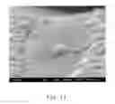 Fig. 08 - Manufacturing method for three-dimensional GaN epitaxial structure