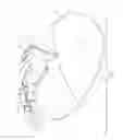 Fig. 05 - AQUATIC HEADGEAR