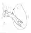 Fig. 06 - AQUATIC HEADGEAR