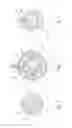 Fig. 03 - Device For Respiratory Assistance