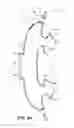 Fig. 19 - PATIENT INTERFACE SYSTEMS