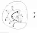Fig. 09 - Pharyngeal wall treatment
