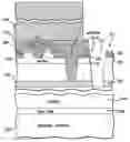 Fig. 01 - Inverted Metamorphic Multijunction Solar Cells with a Supporting Coating