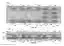 Fig. 06 - Fast acting valve apparatuses