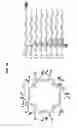 Fig. 26 - PLASMA PROCESSING APPARATUS