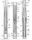 Fig. 04 - Hydraulically actuated downhole pump with gas lock prevention