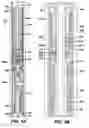 Fig. 07 - Hydraulically actuated downhole pump with gas lock prevention
