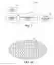 Fig. 02 - Non-metallic, integrated sensor-interconnect device, manufacturing process, and related applications