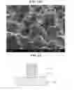 Fig. 08 - CIRCUIT LAYER COMPRISING CNTS AND METHOD OF MANUFACTURING THE SAME