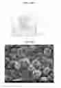 Fig. 09 - CIRCUIT LAYER COMPRISING CNTS AND METHOD OF MANUFACTURING THE SAME