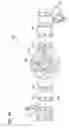 Fig. 34 - Drill head for a tunneling apparatus