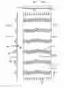 Fig. 02 - Continuous conveyor belt