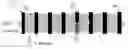 Fig. 01 - APPARATUS FOR THE SEMI-CONTINUOUS CHROMATOGRAPHIC SEPARATION OF BINARY AND MULTI-COMPONENT MIXTURES