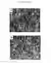 Fig. 07 - Surfaces having particles and related methods