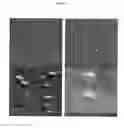 Fig. 22 - Surfaces having particles and related methods