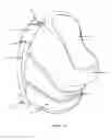 Fig. 02 - Foldable urban waste container