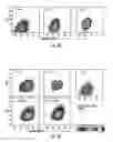 Fig. 04 - Electrospray ionization mass spectrometry methodology