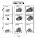 Fig. 06 - Electrospray ionization mass spectrometry methodology