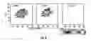 Fig. 07 - Electrospray ionization mass spectrometry methodology