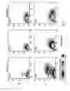 Fig. 08 - Electrospray ionization mass spectrometry methodology
