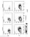Fig. 09 - Electrospray ionization mass spectrometry methodology