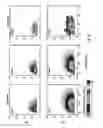 Fig. 10 - Electrospray ionization mass spectrometry methodology