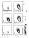 Fig. 12 - Electrospray ionization mass spectrometry methodology