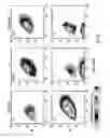 Fig. 13 - Electrospray ionization mass spectrometry methodology