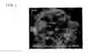 Fig. 02 - Method for producing composite material for positive electrode of lithium battery
