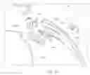 Fig. 43 - Safety eyewear