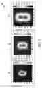 Fig. 07 - Speckle Reduction in Display Systems Using Transverse Phase Modulation in A Non-Image Plane