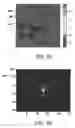 Fig. 09 - Speckle Reduction in Display Systems Using Transverse Phase Modulation in A Non-Image Plane