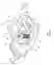 Fig. 02 - Optical transmission device