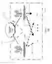 Fig. 02 - Asymmetric broadband data radio network
